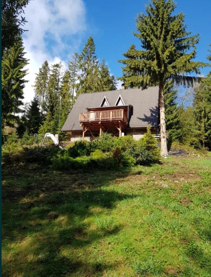 Gierkowka - Gorska Rezydencja Pierwszego Sekretarza Zwardoń Exteriör bild