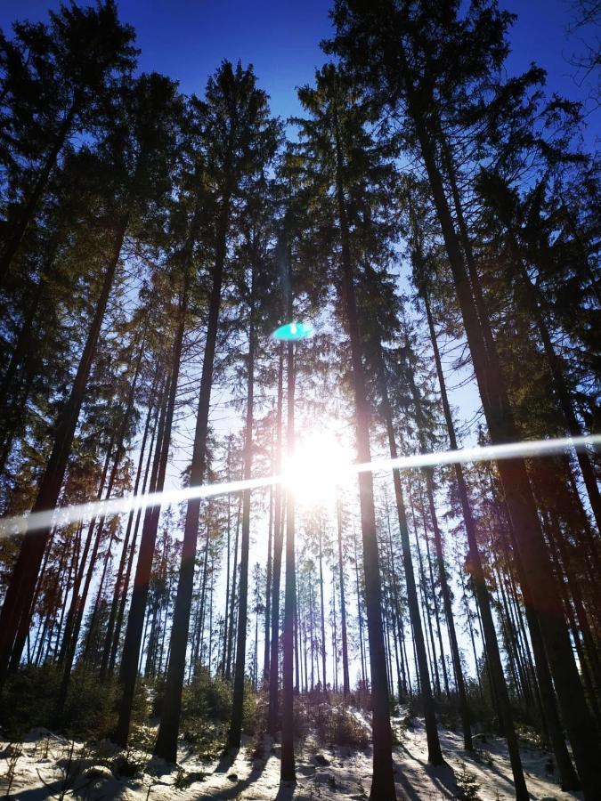 Gierkowka - Gorska Rezydencja Pierwszego Sekretarza Zwardoń Exteriör bild