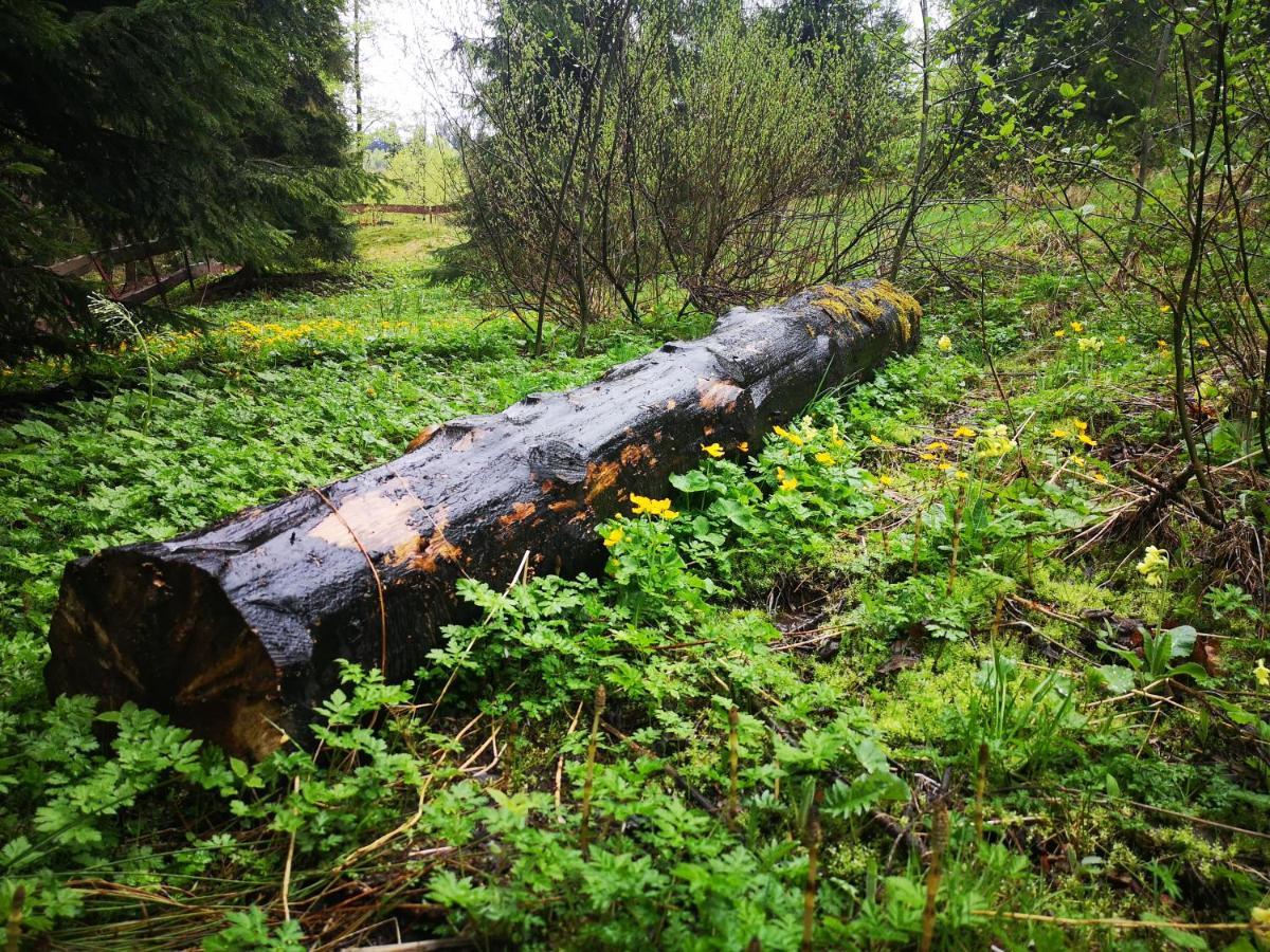 Gierkowka - Gorska Rezydencja Pierwszego Sekretarza Zwardoń Exteriör bild