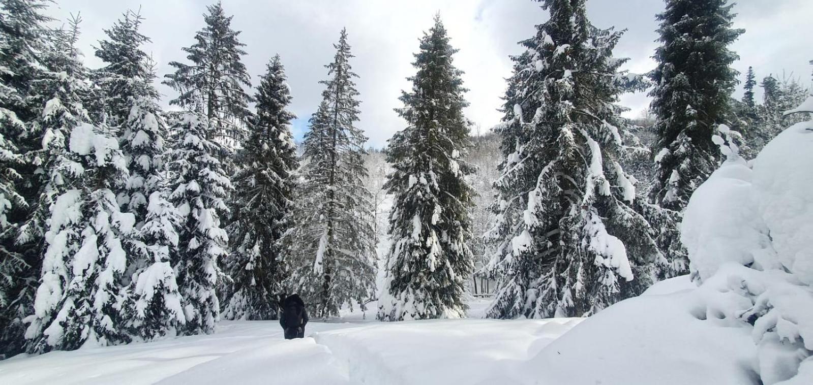 Gierkowka - Gorska Rezydencja Pierwszego Sekretarza Zwardoń Exteriör bild